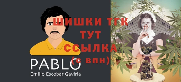спиды Щёлкино