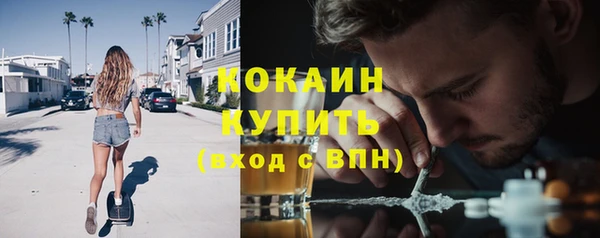 таблы Щигры