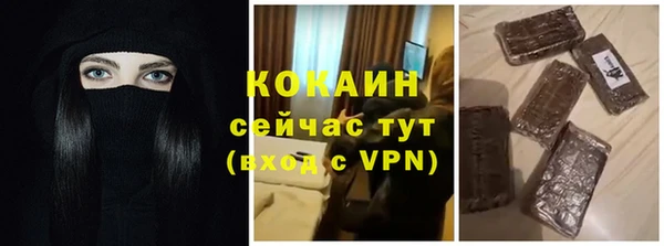 гидра Щучье